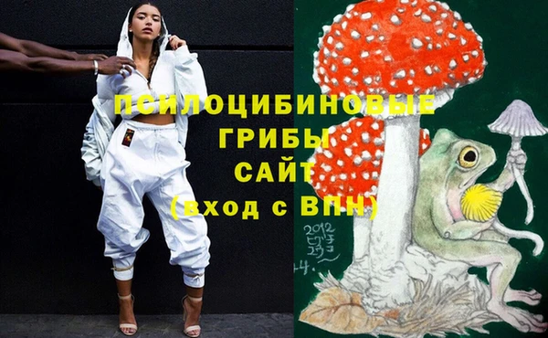 бутират Алзамай