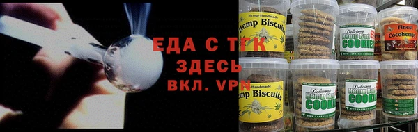 тгк Новозыбков