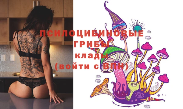 прущие крисы Алексеевка